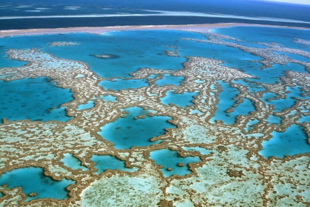 Great Barrier Reef - Australia