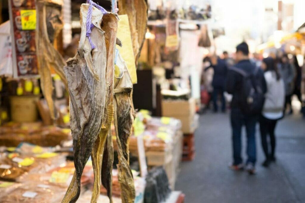 Tsukiji Fish Market - Tokyo