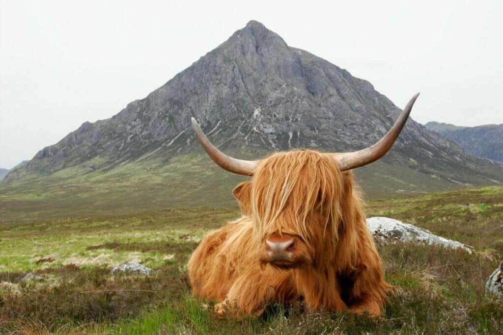 Scotland - The Highlands